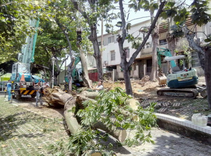 台南大樹移植, 台南怪手移樹, 台南挖土機移樹