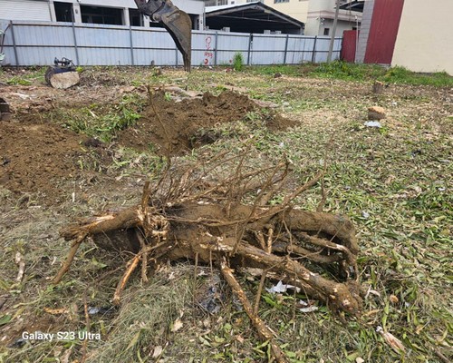 台南怪手粉碎機, 台南怪手碎木機, 台南樹枝粉碎工程, 台南怪手施工整地, 台南怪手清運樹枝, 台南怪手割草樹木粉碎, 台南怪手破碎機, 
                    台南破碎機整地, 台南挖土機整地, 台南怪手整地, 台南整地費用, 台南整地清運, 台南怪手建地整地, 台南空地整地費用, 台南怪手整地, 台南挖土機整地, 
                    台南整地工程, 台南小山貓整地, 台南堆土機整地, 台南鏟土機整地