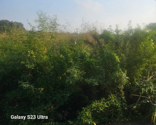 台南怪手破碎機整地, 台南怪手建地整地費用, 台南怪手空地整地費用, 台南怪手整地, 台南怪手山坡地整地費用, 台南土方開挖, 
                    台南農地整地, 台南整地填土, 台南環保廢棄物清運, 台南廢棄物清運
