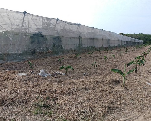 台南怪手破碎機整地, 台南怪手建地整地費用, 台南怪手空地整地費用, 台南怪手整地, 台南怪手山坡地整地費用, 台南土方開挖, 
                    台南農地整地, 台南整地填土, 台南環保廢棄物清運, 台南廢棄物清運