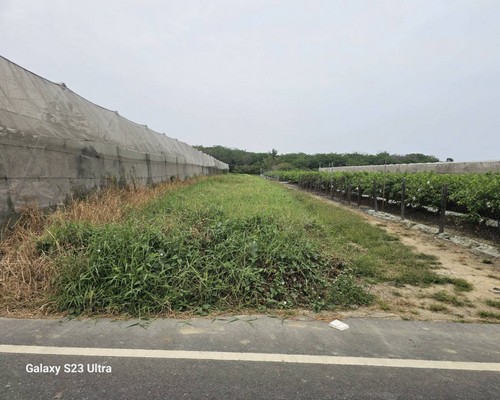 xnǤa, xnaO, xnKMB, xno󪫲MB, xnl, xnǤ}Ha, 
            xnǤAaaO, xnǤŦaaO, xnǤYa, xnǤsYaaO, xng}, xnAaa, xnaOέp