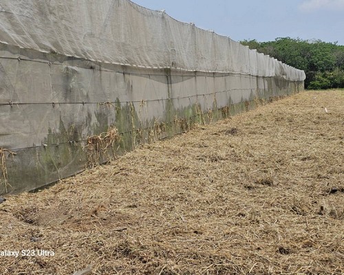 xnFϩǤa, xnFϾaO, xnFϾKMB, xnFϼo󪫲MB, xnFϧl, xnFϩǤ}Ha, 
            xnFϩǤAaaO, xnFϩǤŦaaO, xnFϩǤYa, xnFϩǤsYaaO, xnFϤg}, xnFϹAaa, xnFϾaOέp