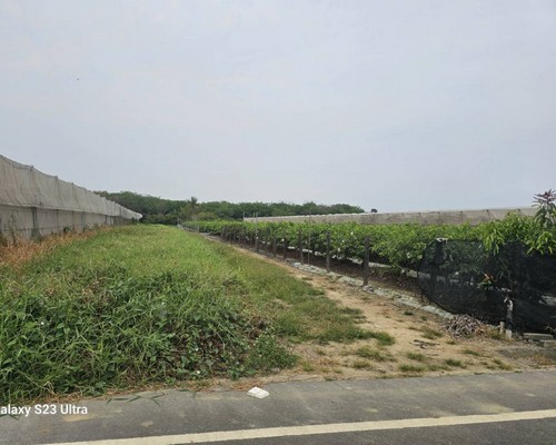 xnǤa, xnaO, xnKMB, xno󪫲MB, xnl, xnǤ}Ha, 
            xnǤAaaO, xnǤŦaaO, xnǤYa, xnǤsYaaO, xng}, xnAaa, xnaOέp