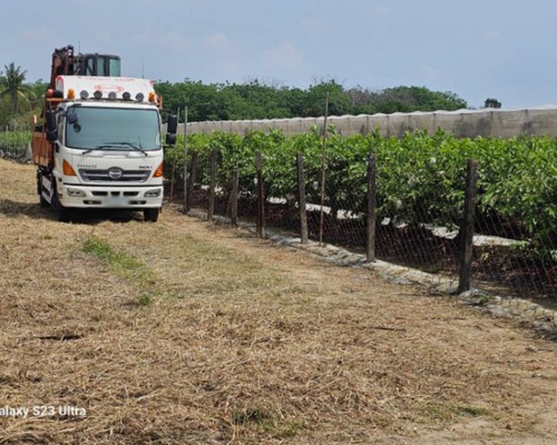 xnnϩǤa, xnnϾaO, xnnϾKMB, xnnϼo󪫲MB, xnnϧl, xnnϩǤ}Ha, 
            xnnϩǤAaaO, xnnϩǤŦaaO, xnnϩǤYa, xnnϩǤsYaaO, xnnϤg}, xnnϹAaa, xnnϾaOέp