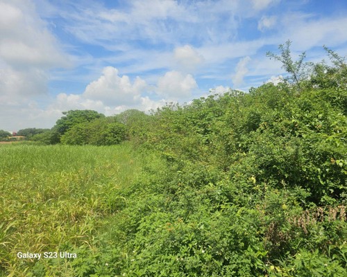 xnǤa, xnaO, xnKMB, xno󪫲MB, xnl, xnǤ}Ha, 
            xnǤAaaO, xnǤŦaaO, xnǤYa, xnǤsYaaO, xng}, xnAaa, xnaOέp