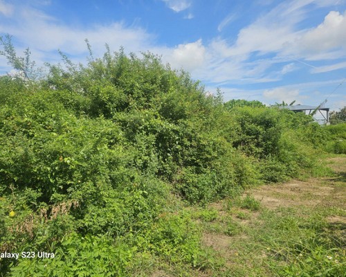 xnǤa, xnaO, xnKMB, xno󪫲MB, xnl, xnǤ}Ha, 
            xnǤAaaO, xnǤŦaaO, xnǤYa, xnǤsYaaO, xng}, xnAaa, xnaOέp