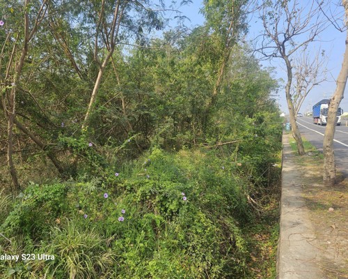 xnǤa, xnaO, xnKMB, xno󪫲MB, xnl, xnǤ}Ha, xnǤAaaO, xnǤŦaaO, 
xnǤYa, xnǤsYaaO, xng}, xnAaa, xnaOέp