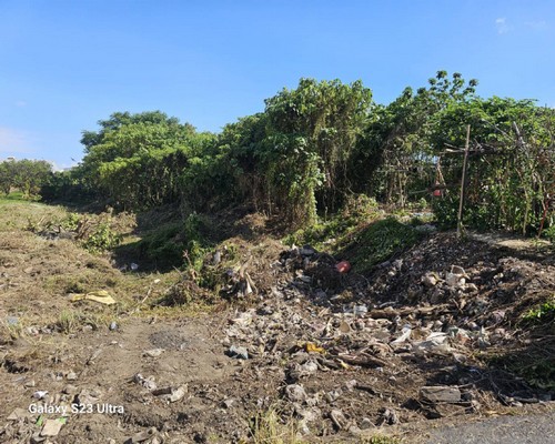 麻豆怪手破碎機整地, 麻豆怪手建地整地費用, 麻豆怪手空地整地費用, 麻豆怪手整地, 麻豆怪手山坡地整地費用, 麻豆土方開挖, 
                    麻豆農地整地, 麻豆整地填土, 麻豆環保廢棄物清運, 麻豆廢棄物清運