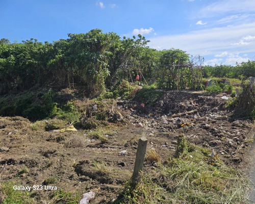 麻豆怪手破碎機整地, 麻豆怪手建地整地費用, 麻豆怪手空地整地費用, 麻豆怪手整地, 麻豆怪手山坡地整地費用, 麻豆土方開挖, 
                    麻豆農地整地, 麻豆整地填土, 麻豆環保廢棄物清運, 麻豆廢棄物清運