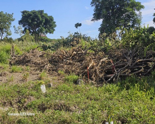 麻豆怪手破碎機整地, 麻豆怪手建地整地費用, 麻豆怪手空地整地費用, 麻豆怪手整地, 麻豆怪手山坡地整地費用, 麻豆土方開挖, 
                    麻豆農地整地, 麻豆整地填土, 麻豆環保廢棄物清運, 麻豆廢棄物清運