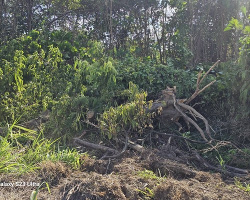 台南善化怪手破碎機整地, 台南善化怪手建地整地費用, 台南善化怪手空地整地費用, 台南善化怪手整地, 台南善化怪手山坡地整地費用, 台南善化土方開挖, 
                    台南善化農地整地, 台南善化整地填土, 台南善化環保廢棄物清運, 台南善化廢棄物清運