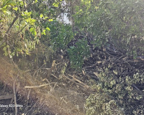 麻豆怪手破碎機整地, 麻豆怪手建地整地費用, 麻豆怪手空地整地費用, 麻豆怪手整地, 麻豆怪手山坡地整地費用, 麻豆土方開挖, 
                    麻豆農地整地, 麻豆整地填土, 麻豆環保廢棄物清運, 麻豆廢棄物清運