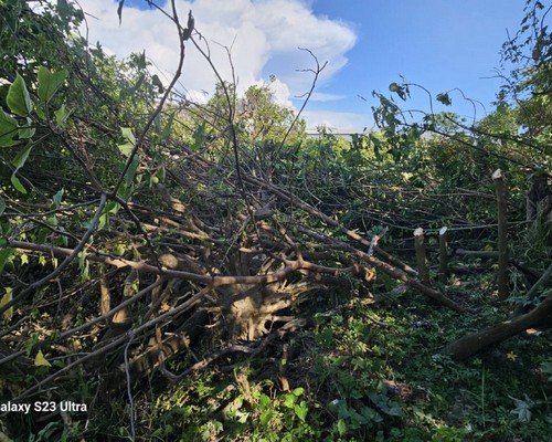 麻豆怪手破碎機整地, 麻豆怪手建地整地費用, 麻豆怪手空地整地費用, 麻豆怪手整地, 麻豆怪手山坡地整地費用, 麻豆土方開挖, 
                    麻豆農地整地, 麻豆整地填土, 麻豆環保廢棄物清運, 麻豆廢棄物清運