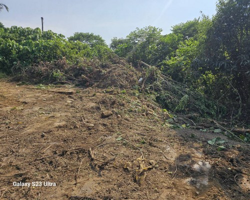 台南楠西怪手破碎機整地, 台南楠西怪手建地整地費用, 台南楠西怪手空地整地費用, 台南楠西怪手整地, 台南楠西怪手山坡地整地費用, 台南楠西土方開挖, 
                    台南楠西農地整地, 台南楠西整地填土, 台南楠西環保廢棄物清運, 台南楠西廢棄物清運