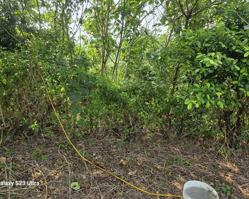 台南山上怪手破碎機整地, 台南山上怪手建地整地費用, 台南山上怪手空地整地費用, 台南山上怪手整地, 台南山上怪手山坡地整地費用, 台南山上土方開挖, 
                    台南山上農地整地, 台南山上整地填土, 台南山上環保廢棄物清運, 台南山上廢棄物清運