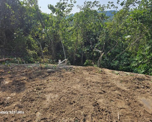 台南新化怪手破碎機整地, 台南新化怪手建地整地費用, 台南新化怪手空地整地費用, 台南新化怪手整地, 台南新化怪手山坡地整地費用, 台南新化土方開挖, 
                    台南新化農地整地, 台南新化整地填土, 台南新化環保廢棄物清運, 台南新化廢棄物清運
