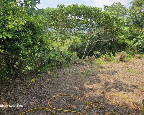 台南左鎮怪手破碎機整地, 台南左鎮怪手建地整地費用, 台南左鎮怪手空地整地費用, 台南左鎮怪手整地, 台南左鎮怪手山坡地整地費用, 台南左鎮土方開挖, 
                    台南左鎮農地整地, 台南左鎮整地填土, 台南左鎮環保廢棄物清運, 台南左鎮廢棄物清運