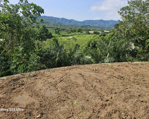 台南仁德怪手破碎機整地, 台南仁德怪手建地整地費用, 台南仁德怪手空地整地費用, 台南仁德怪手整地, 台南仁德怪手山坡地整地費用, 台南仁德土方開挖, 
                    台南仁德農地整地, 台南仁德整地填土, 台南仁德環保廢棄物清運, 台南仁德廢棄物清運