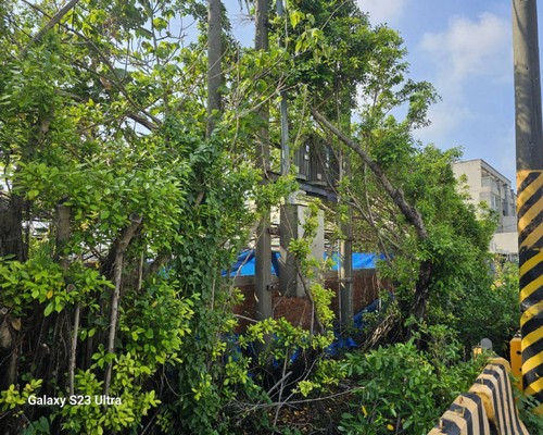 台南怪手破碎機整地, 台南怪手建地整地費用, 台南怪手空地整地費用, 台南怪手整地, 台南怪手山坡地整地費用, 台南土方開挖, 
                    台南農地整地, 台南整地填土, 台南環保廢棄物清運, 台南廢棄物清運