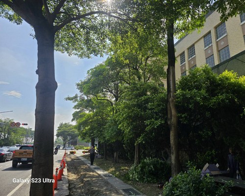 台南整地農地農用, 台南怪手整地, 台南挖土機整地, 台南農地整地, 台南農地整理, 台南怪手破碎機整地, 台南怪手建地整地費用, 台南怪手空地整地費用, 台南怪手整地, 台南怪手山坡地整地費用, 台南土方開挖, 
                    台南農地整地, 台南整地填土, 台南環保廢棄物清運, 台南廢棄物清運