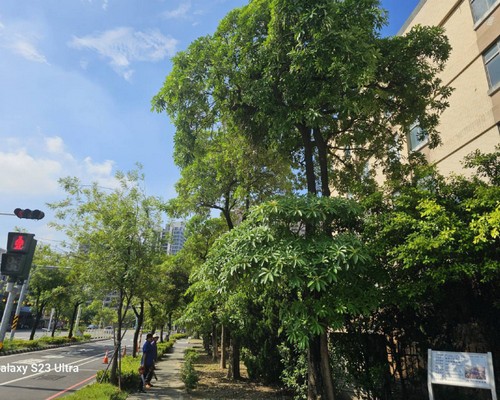 歸仁整地農地農用, 歸仁怪手整地, 歸仁挖土機整地, 歸仁農地整地, 歸仁農地整理, 歸仁怪手破碎機整地, 歸仁怪手建地整地費用, 歸仁怪手空地整地費用, 歸仁怪手整地, 歸仁怪手山坡地整地費用, 歸仁土方開挖, 
                    歸仁農地整地, 歸仁整地填土, 歸仁環保廢棄物清運, 歸仁廢棄物清運