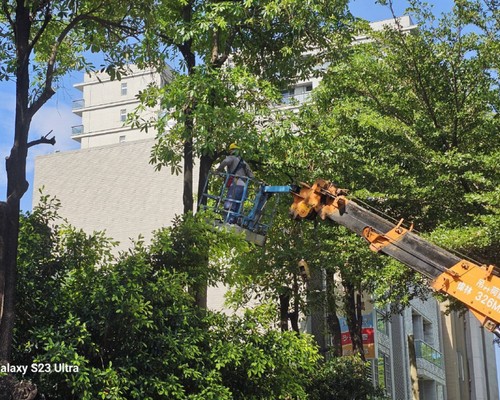 台南歸仁整地農地農用, 台南歸仁怪手整地, 台南歸仁挖土機整地, 台南歸仁農地整地, 台南歸仁農地整理, 台南歸仁怪手破碎機整地, 台南歸仁怪手建地整地費用, 台南歸仁怪手空地整地費用, 台南歸仁怪手整地, 台南歸仁怪手山坡地整地費用, 台南歸仁土方開挖, 
                    台南歸仁農地整地, 台南歸仁整地填土, 台南歸仁環保廢棄物清運, 台南歸仁廢棄物清運