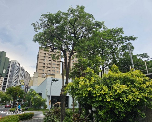 台南怪手破碎機整地, 台南怪手建地整地費用, 台南怪手空地整地費用, 台南怪手整地, 台南怪手山坡地整地費用, 台南土方開挖, 
                    台南農地整地, 台南整地填土, 台南環保廢棄物清運, 台南廢棄物清運