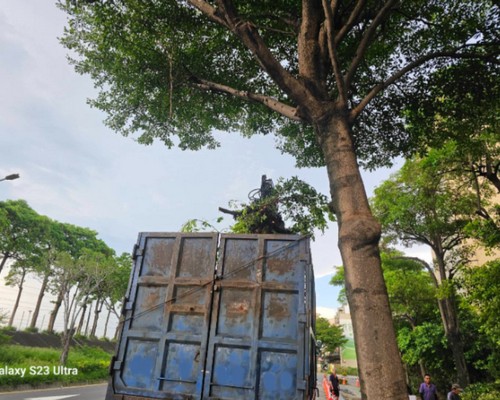 台南新市怪手破碎機整地, 台南新市怪手建地整地費用, 台南新市怪手空地整地費用, 台南新市怪手整地, 台南新市怪手山坡地整地費用, 台南新市土方開挖, 
                    台南新市農地整地, 台南新市整地填土, 台南新市環保廢棄物清運, 台南新市廢棄物清運