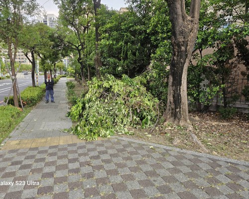 麻豆怪手破碎機整地, 麻豆怪手建地整地費用, 麻豆怪手空地整地費用, 麻豆怪手整地, 麻豆怪手山坡地整地費用, 麻豆土方開挖, 
                    麻豆農地整地, 麻豆整地填土, 麻豆環保廢棄物清運, 麻豆廢棄物清運