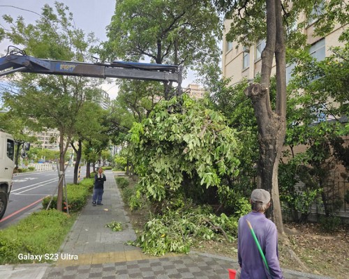 台南善化怪手破碎機整地, 台南善化怪手建地整地費用, 台南善化怪手空地整地費用, 台南善化怪手整地, 台南善化怪手山坡地整地費用, 台南善化土方開挖, 
                    台南善化農地整地, 台南善化整地填土, 台南善化環保廢棄物清運, 台南善化廢棄物清運