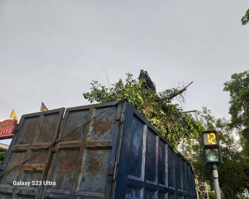 台南新市怪手破碎機整地, 台南新市怪手建地整地費用, 台南新市怪手空地整地費用, 台南新市怪手整地, 台南新市怪手山坡地整地費用, 台南新市土方開挖, 
                    台南新市農地整地, 台南新市整地填土, 台南新市環保廢棄物清運, 台南新市廢棄物清運