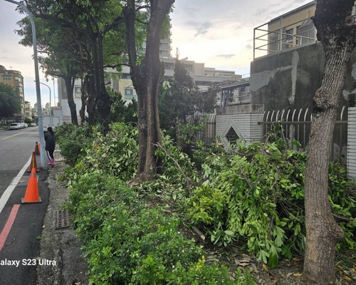 台南善化怪手破碎機整地, 台南善化怪手建地整地費用, 台南善化怪手空地整地費用, 台南善化怪手整地, 台南善化怪手山坡地整地費用, 台南善化土方開挖, 
                    台南善化農地整地, 台南善化整地填土, 台南善化環保廢棄物清運, 台南善化廢棄物清運