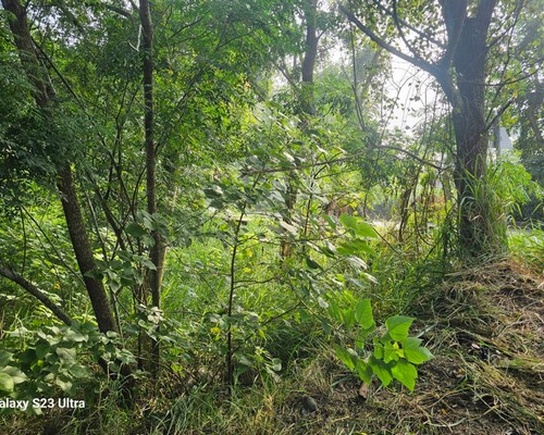 台南怪手破碎機整地, 台南怪手建地整地費用, 台南怪手空地整地費用, 台南怪手整地, 台南怪手山坡地整地費用, 台南土方開挖, 
                    台南農地整地, 台南整地填土, 台南環保廢棄物清運, 台南廢棄物清運