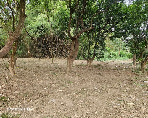 台南怪手破碎機整地, 台南怪手建地整地費用, 台南怪手空地整地費用, 台南怪手整地, 台南怪手山坡地整地費用, 台南土方開挖, 
                    台南農地整地, 台南整地填土, 台南環保廢棄物清運, 台南廢棄物清運