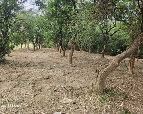 台南新化怪手破碎機整地, 台南新化怪手建地整地費用, 台南新化怪手空地整地費用, 台南新化怪手整地, 台南新化怪手山坡地整地費用, 台南新化土方開挖, 
                    台南新化農地整地, 台南新化整地填土, 台南新化環保廢棄物清運, 台南新化廢棄物清運
