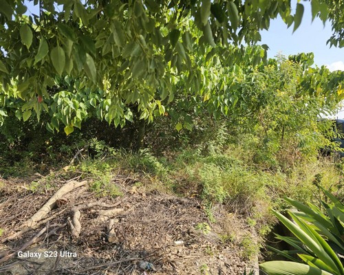 台南怪手破碎機整地, 台南怪手建地整地費用, 台南怪手空地整地費用, 台南怪手整地, 台南怪手山坡地整地費用, 台南土方開挖, 
                    台南農地整地, 台南整地填土, 台南環保廢棄物清運, 台南廢棄物清運
