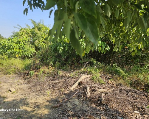 台南山上怪手破碎機整地, 台南山上怪手建地整地費用, 台南山上怪手空地整地費用, 台南山上怪手整地, 台南山上怪手山坡地整地費用, 台南山上土方開挖, 
                    台南山上農地整地, 台南山上整地填土, 台南山上環保廢棄物清運, 台南山上廢棄物清運