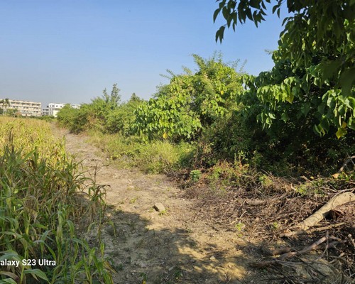 台南山上怪手破碎機整地, 台南山上怪手建地整地費用, 台南山上怪手空地整地費用, 台南山上怪手整地, 台南山上怪手山坡地整地費用, 台南山上土方開挖, 
                    台南山上農地整地, 台南山上整地填土, 台南山上環保廢棄物清運, 台南山上廢棄物清運