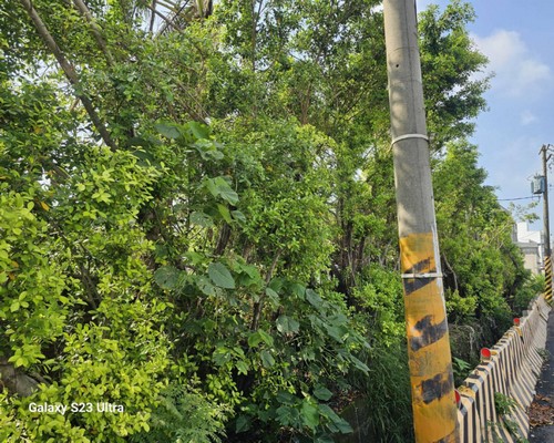 台南鋸樹, 台南怪手破碎機整地, 台南怪手建地整地費用, 台南怪手空地整地費用, 台南怪手整地, 台南怪手山坡地整地費用, 台南土方開挖, 
                    台南農地整地, 台南整地填土, 台南環保廢棄物清運, 台南廢棄物清運