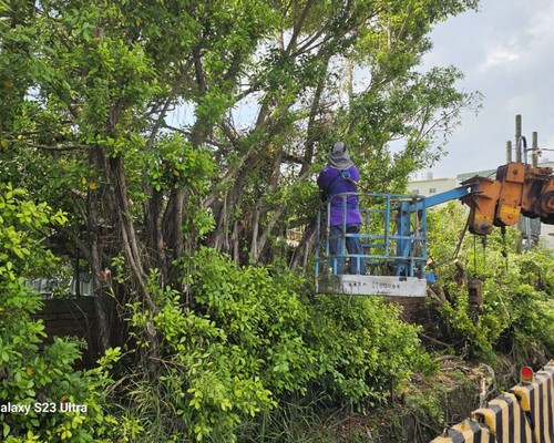 台南鋸樹, 台南怪手破碎機整地, 台南怪手建地整地費用, 台南怪手空地整地費用, 台南怪手整地, 台南怪手山坡地整地費用, 台南土方開挖, 
                    台南農地整地, 台南整地填土, 台南環保廢棄物清運, 台南廢棄物清運