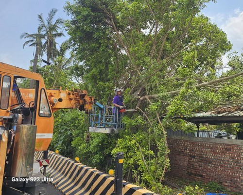 台南鋸樹, 台南怪手破碎機整地, 台南怪手建地整地費用, 台南怪手空地整地費用, 台南怪手整地, 台南怪手山坡地整地費用, 台南土方開挖, 
                    台南農地整地, 台南整地填土, 台南環保廢棄物清運, 台南廢棄物清運