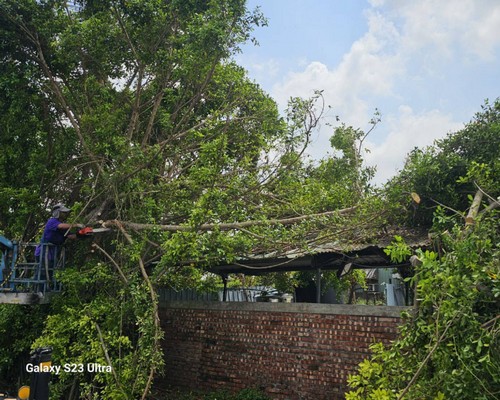 台南龍崎鋸樹, 台南龍崎整地農地農用, 台南龍崎怪手整地, 台南龍崎挖土機整地, 台南龍崎農地整地, 台南龍崎農地整理, 台南龍崎怪手破碎機整地, 台南龍崎怪手建地整地費用, 台南龍崎怪手空地整地費用, 台南龍崎怪手整地, 台南龍崎怪手山坡地整地費用, 台南龍崎土方開挖, 
                    台南龍崎農地整地, 台南龍崎整地填土, 台南龍崎環保廢棄物清運, 台南歸仁廢棄物清運
