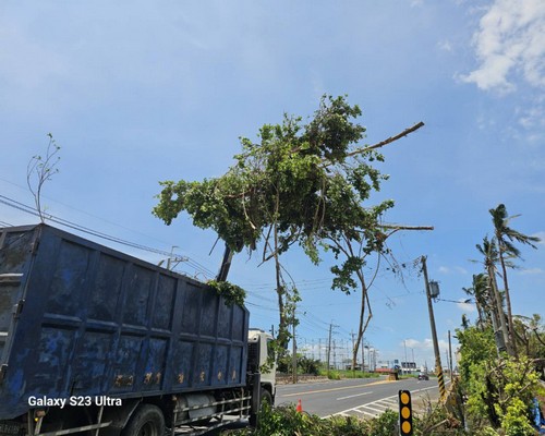 台南鋸樹, 台南怪手破碎機整地, 台南怪手建地整地費用, 台南怪手空地整地費用, 台南怪手整地, 台南怪手山坡地整地費用, 台南土方開挖, 
                    台南農地整地, 台南整地填土, 台南環保廢棄物清運, 台南廢棄物清運