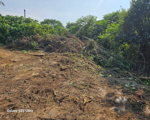 台南官田怪手墓園整地, 台南官田整地工程, 台南官田鋸樹, 台南官田先人福地整理, 台南官田割草鑑界整地, 台南官田農業取得規劃施工, 台南官田樹木移除, 台南官田怪手整地