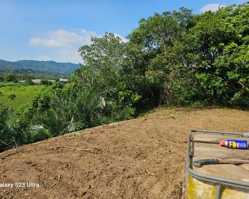 台南怪手墓園整地, 台南整地工程, 台南鋸樹, 台南先人福地整理, 台南割草鑑界整地, 台南農業取得規劃施工, 台南樹木移除, 台南怪手整地