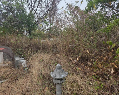 台南粉碎機整地除草, 台南仁德怪手粉碎機, 台南仁德怪手破碎機, 台南仁德破碎機整地, 台南仁德挖土機整地, 台南仁德怪手整地, 台南仁德整地費用, 台南仁德整地清運, 台南仁德怪手建地整地, 
    台南仁德空地整地費用, 台南仁德怪手整地, 台南仁德挖土機整地, 台南仁德整地工程, 台南仁德小山貓整地, 台南仁德堆土機整地, 台南仁德鏟土機整地, 台南仁德田地翻新, 台南仁德農地規劃整理, 台南仁德填土