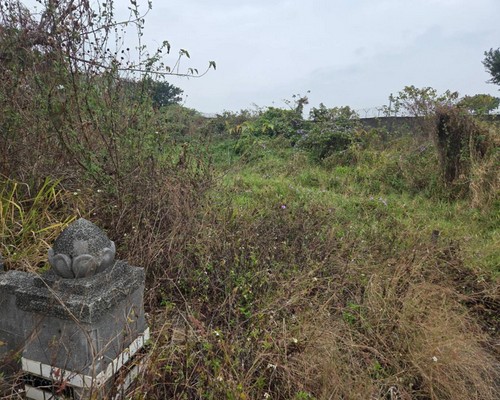 台南善化粉碎機整地除草, 台南善化怪手粉碎機, 台南善化怪手破碎機, 台南善化破碎機整地, 台南善化挖土機整地, 台南善化怪手整地, 台南善化整地費用, 台南善化整地清運, 台南善化怪手建地整地, 
    台南善化空地整地費用, 台南善化怪手整地, 台南善化挖土機整地, 台南善化整地工程, 台南善化小山貓整地, 台南善化堆土機整地, 台南善化鏟土機整地, 台南善化田地翻新, 台南善化農地規劃整理, 台南善化填土