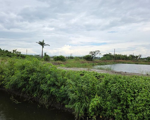 台南七股區怪手整地, 台南七股區挖土機整地, 台南七股區整地工程, 台南七股區小山貓整地, 台南七股區堆土機整地, 台南七股區鏟土機整地